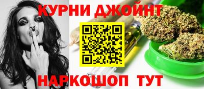 дмт Гатчина