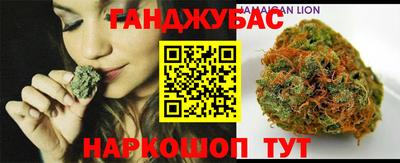 дмт Гатчина