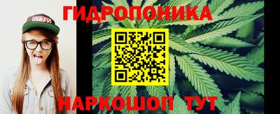 прущая мука Гай