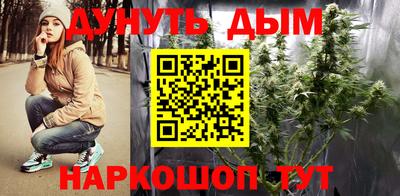 дмт Гатчина