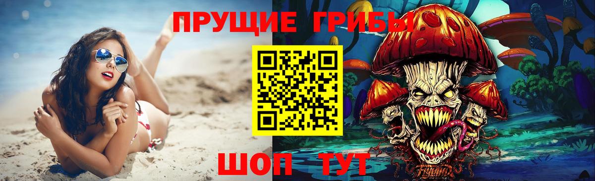 Жигулёвск  Галлюциногенные грибы прущие грибы  Вход с VPN 